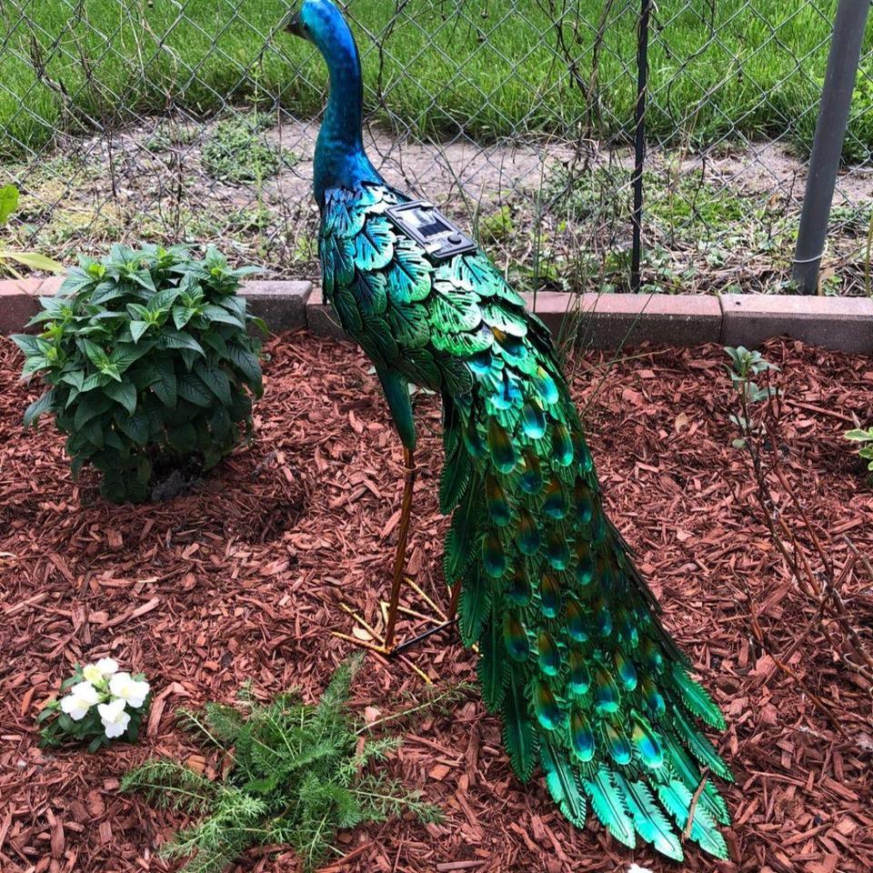 Outdoor Solar Peacock Decor Garden 0146 3