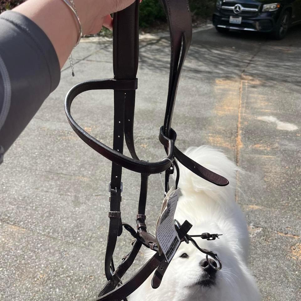 Bitless Bridle Size Cob Retails Dd06