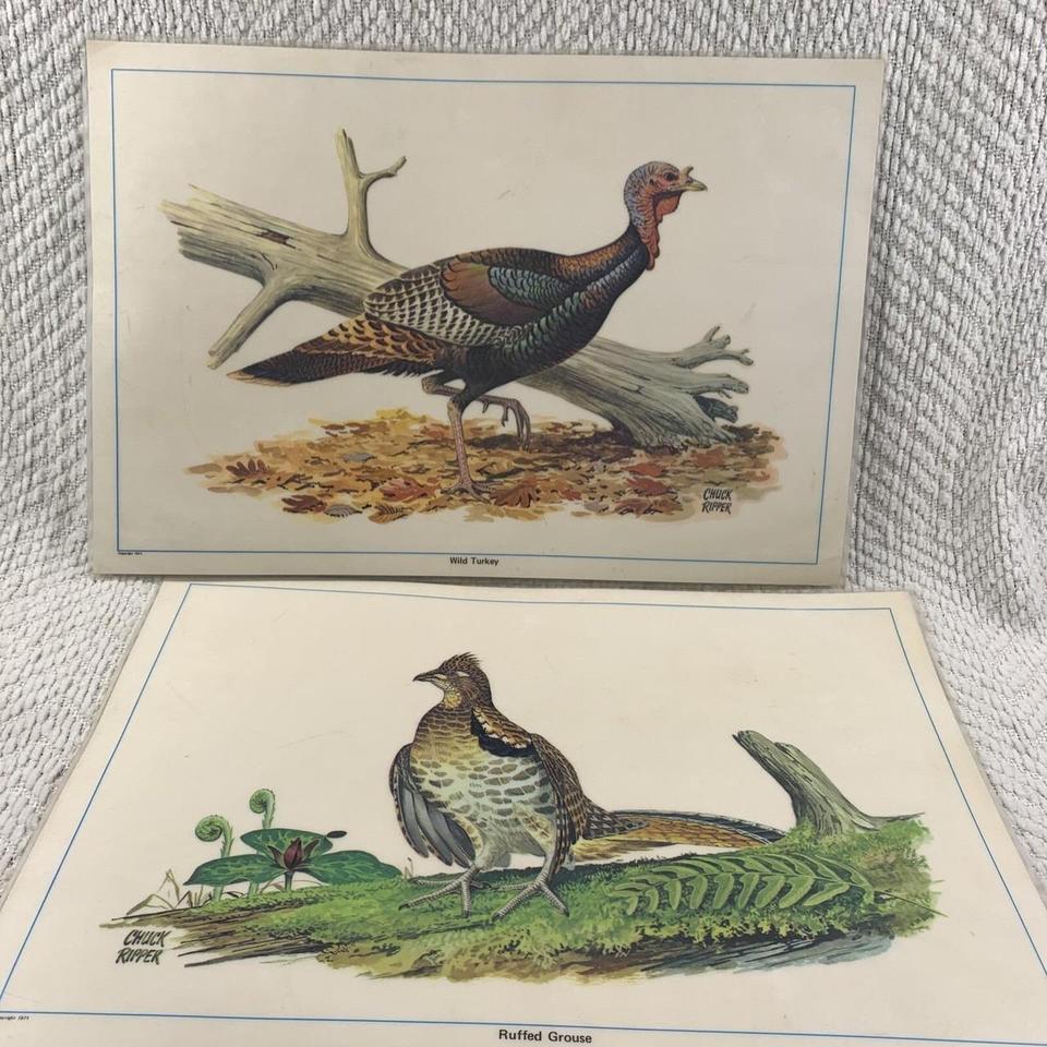 Vtg Set Of 2 Chuck 2e29