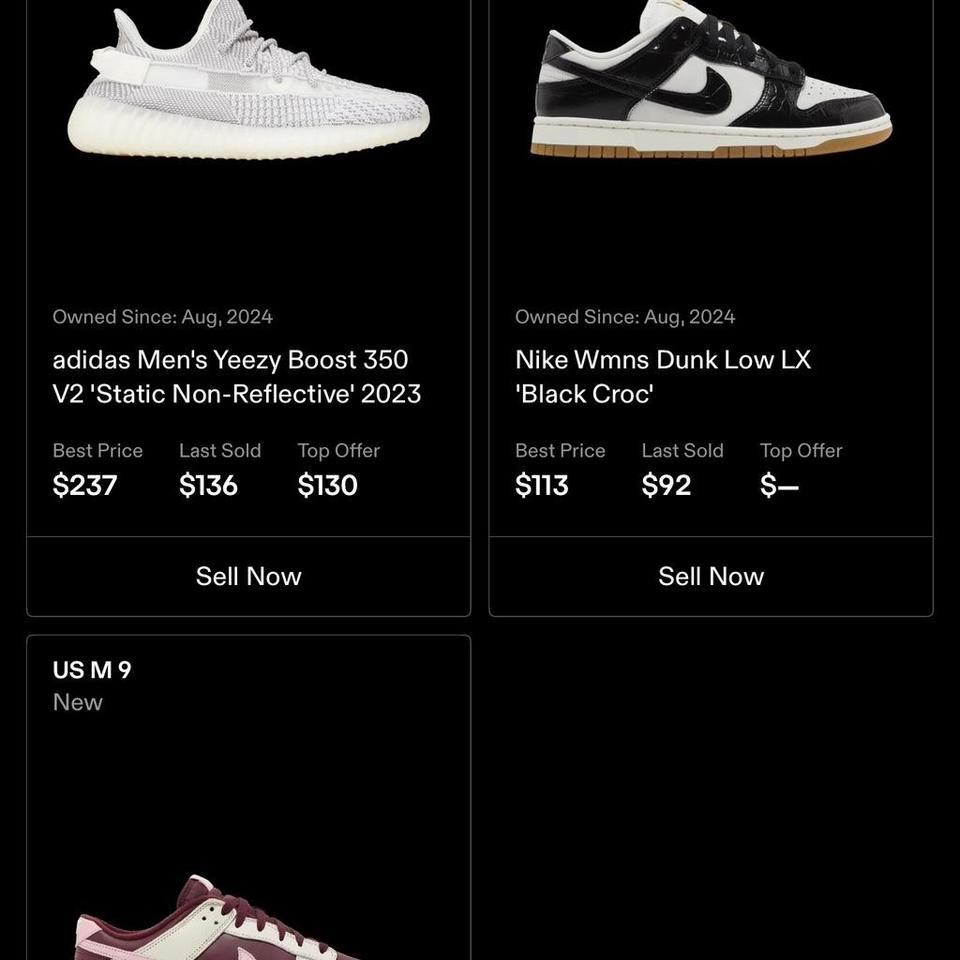 Nike Men Dunk Low Premium 55ae 3