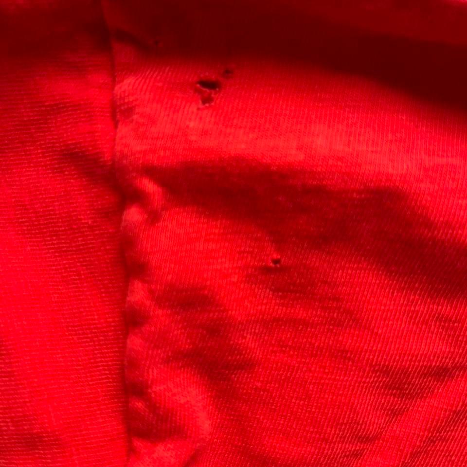 Sick Red 1990 Portland Trail 4