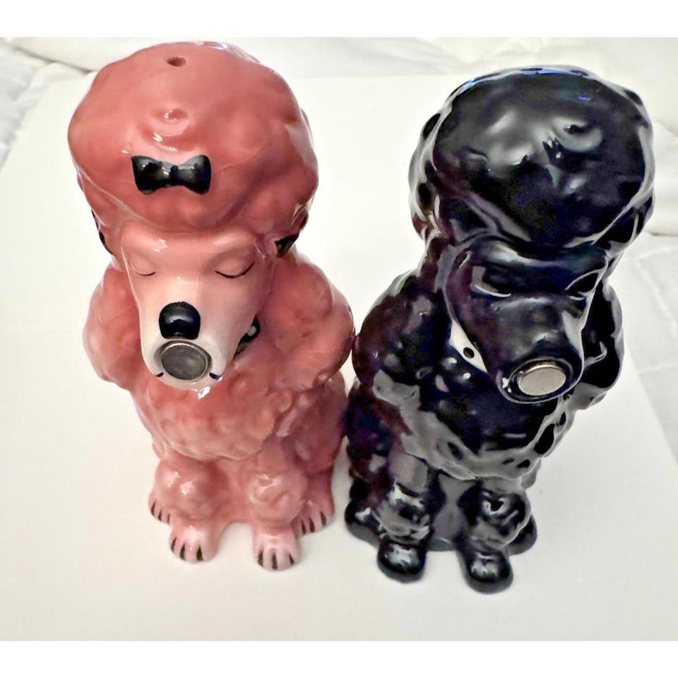 Chien Canne Poodles Salt And 14bc