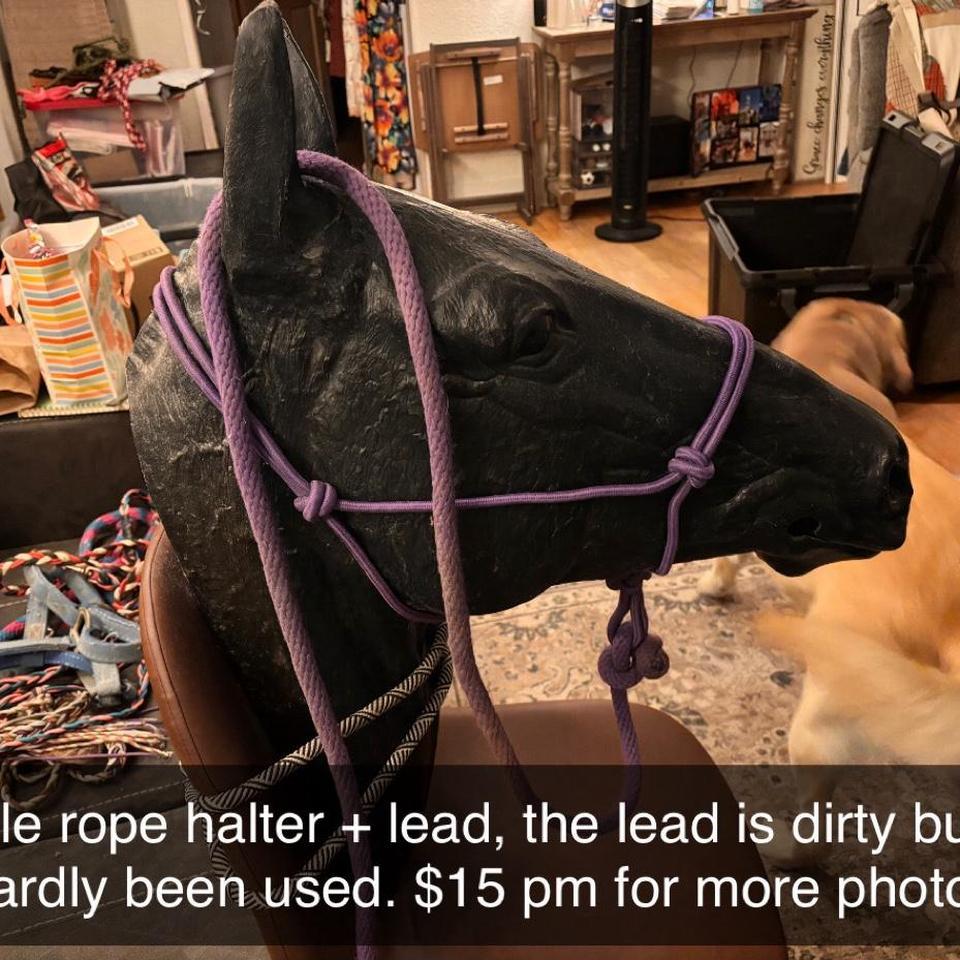 Horse Tack Cheap Horse Tack 5