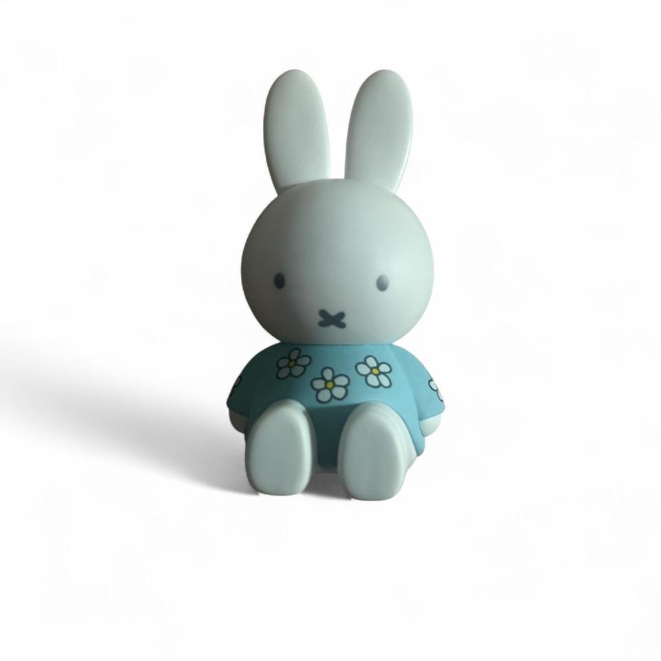 Urban Outfitters Miffy Blind Box 5d21