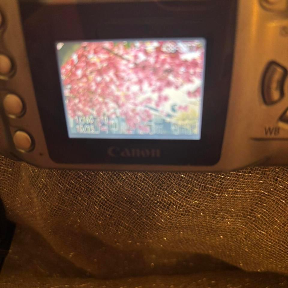 The Canon Eos Digital Rebel 6