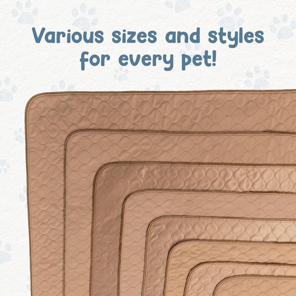 Ezwhelp Reusable Dog Pee 8pimpmc4al6ls12e 3