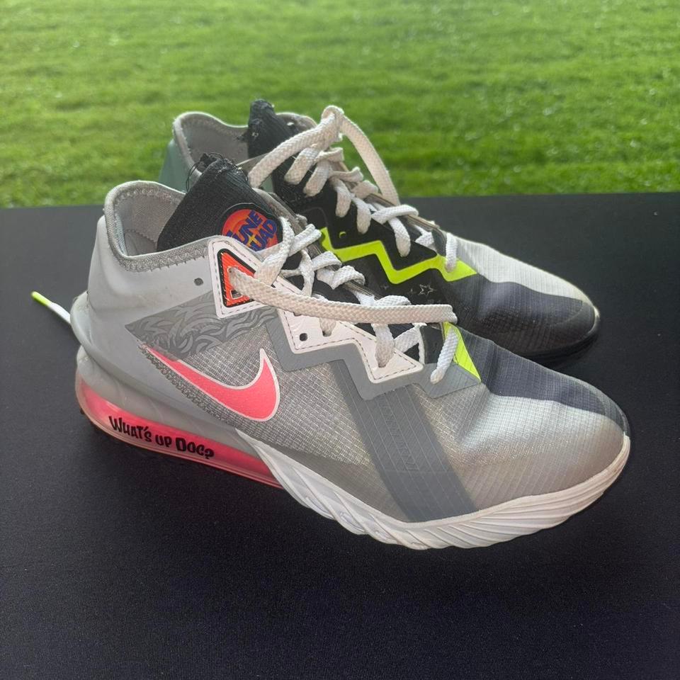 Nike Lebron 18 Lows Bugs 3
