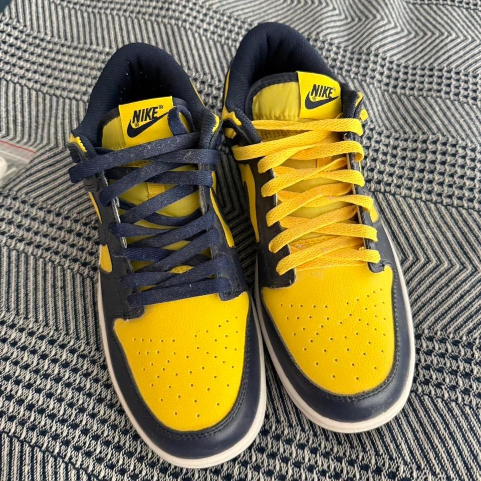 Nike Michigan Dunks Size Us11 821c