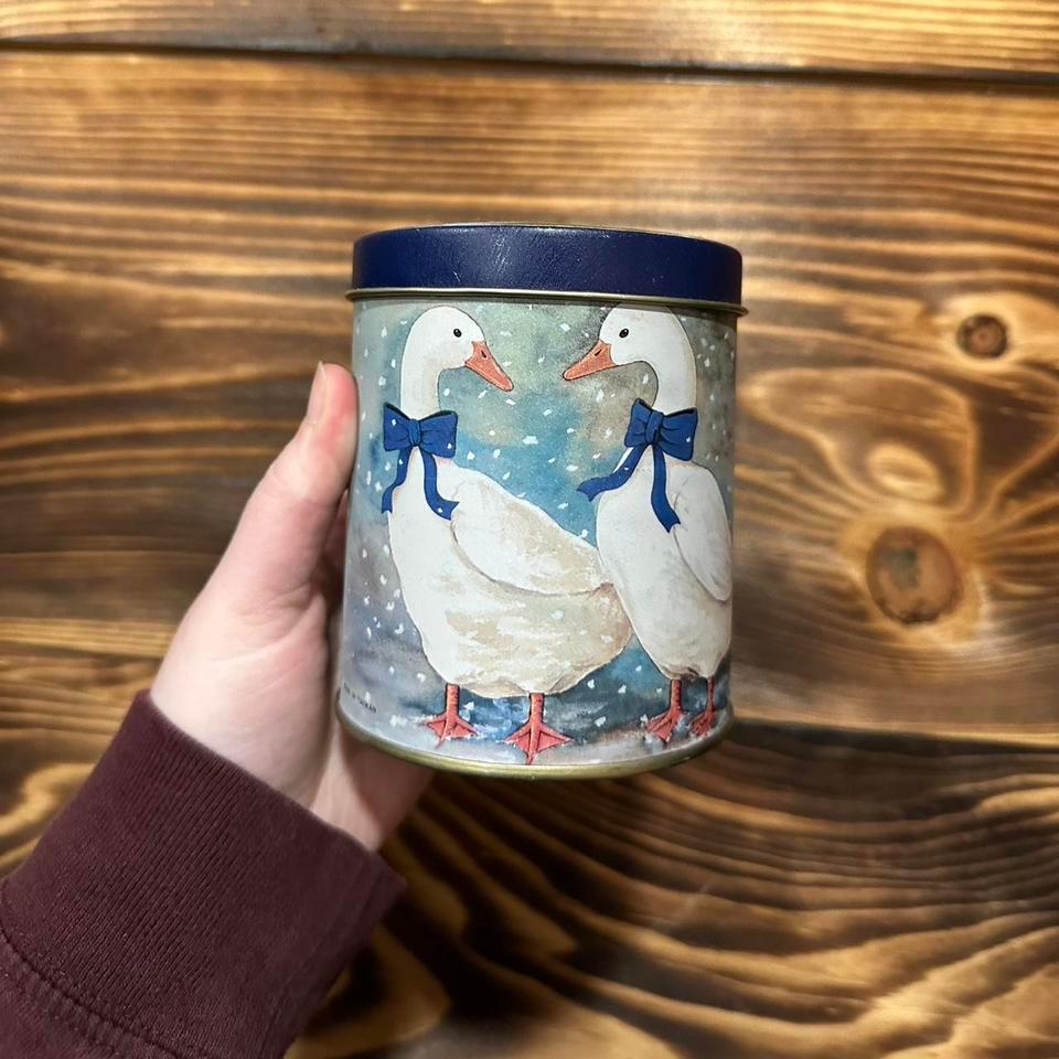 Goose Tin Goose Cottagecore Kawaii 1df3