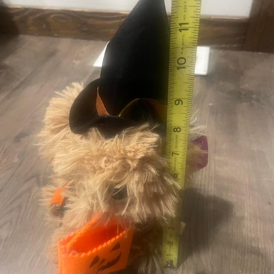 Adorable Musical Dancing Halloween Dog 4