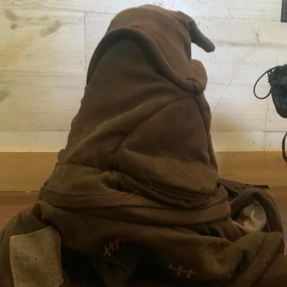 Talking Hog Warts Sorting Hat 7552 2