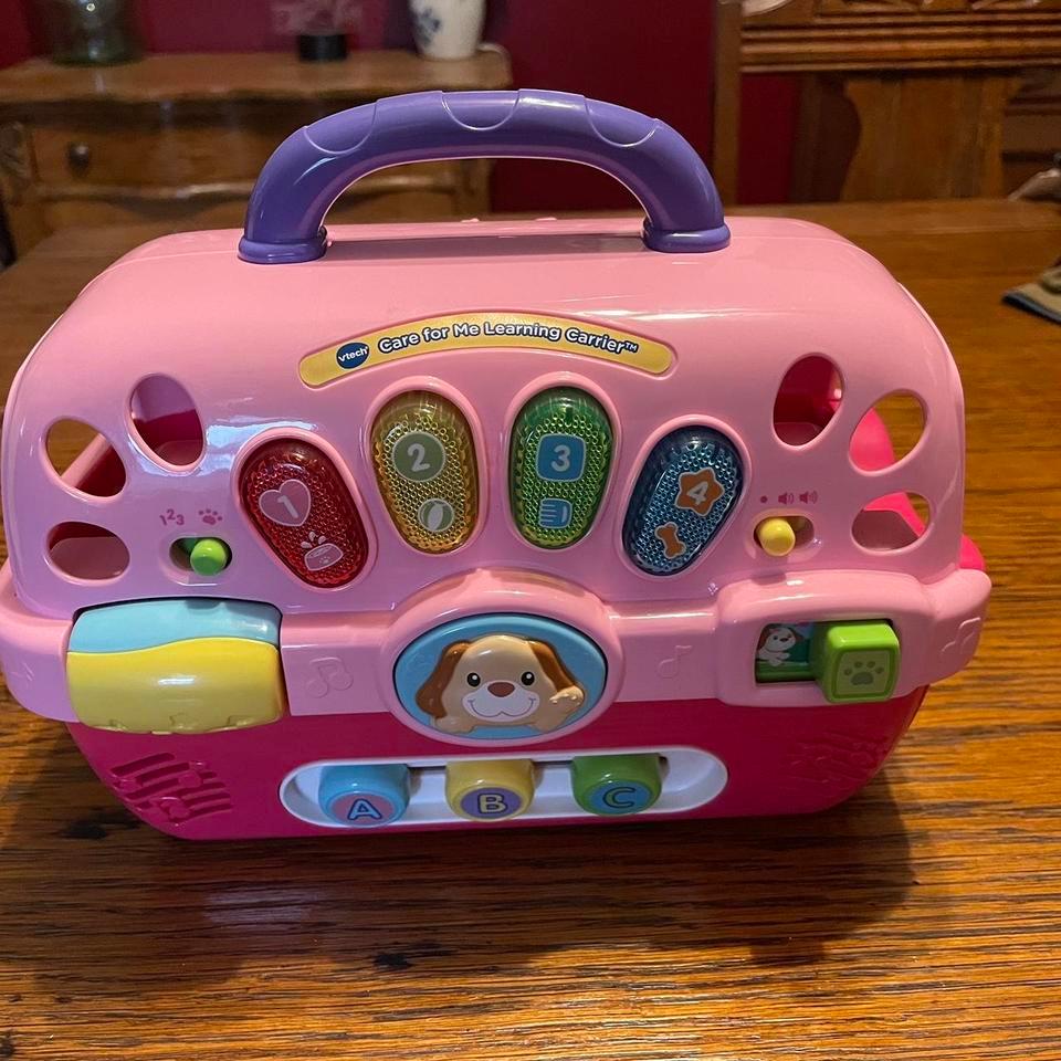 Pink And Purple Dog Carrier
