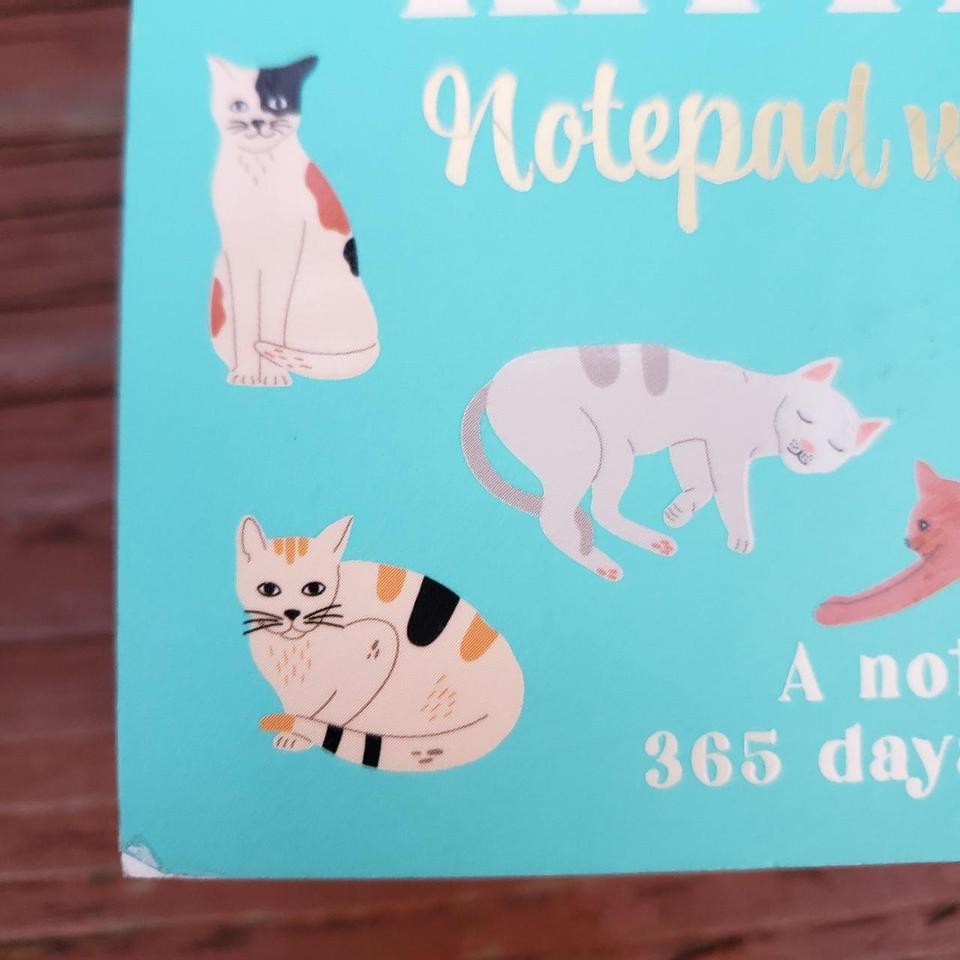 Youve Gotta Be Kitten Me B32a 5