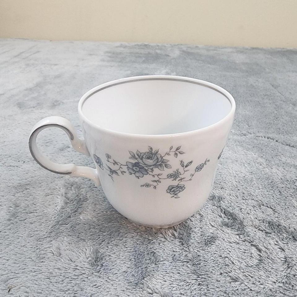 Johann Haviland Blue Garland China F669 2