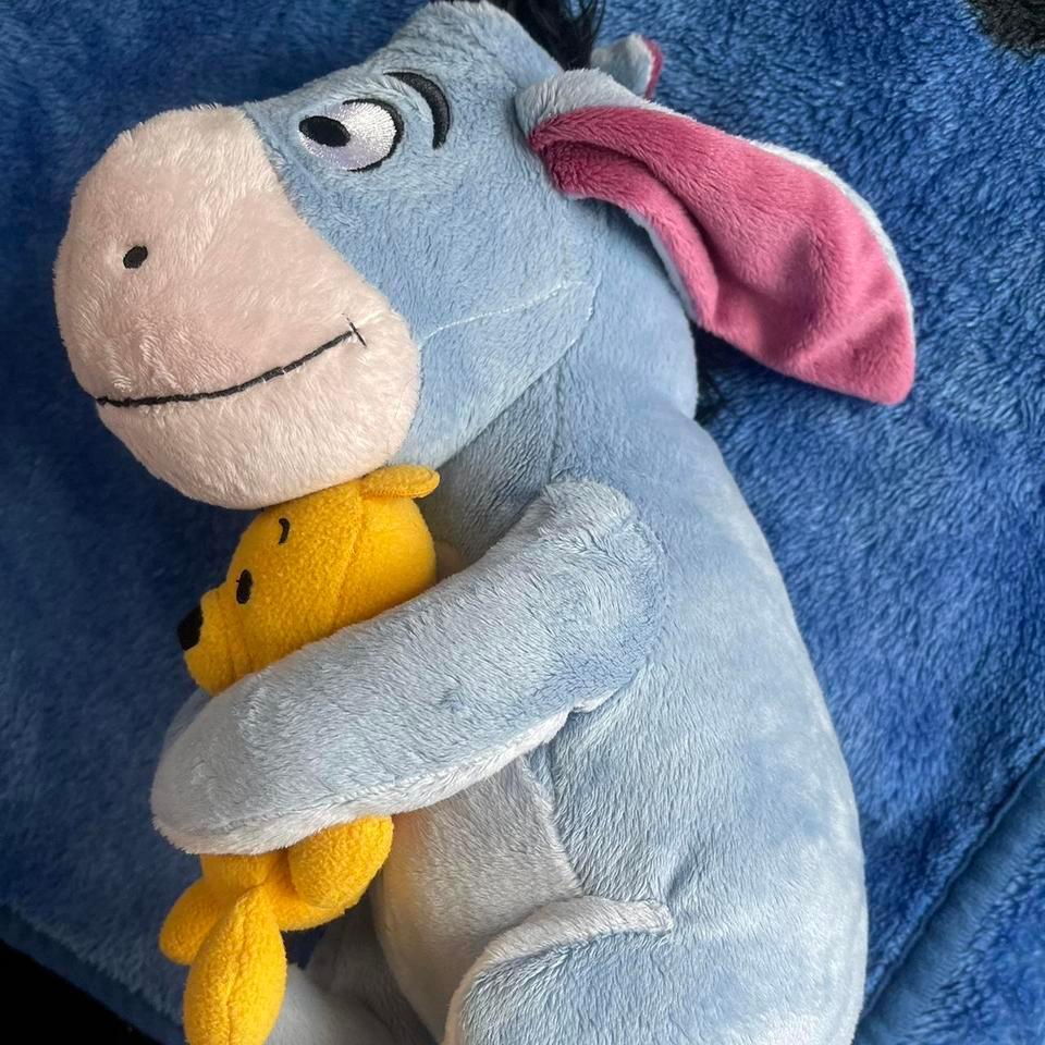 Adorable Eeyore Plush Toy With 3