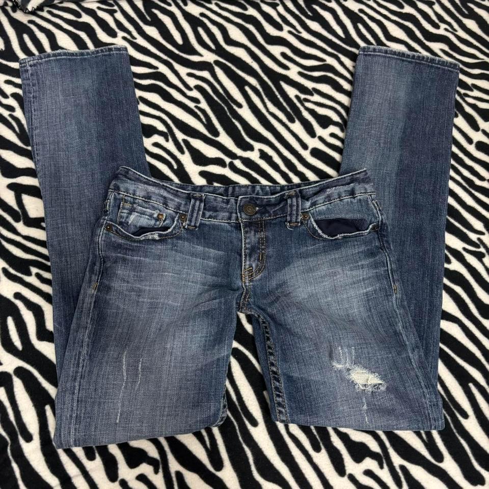 Express Dark Wash Low Rise 3799