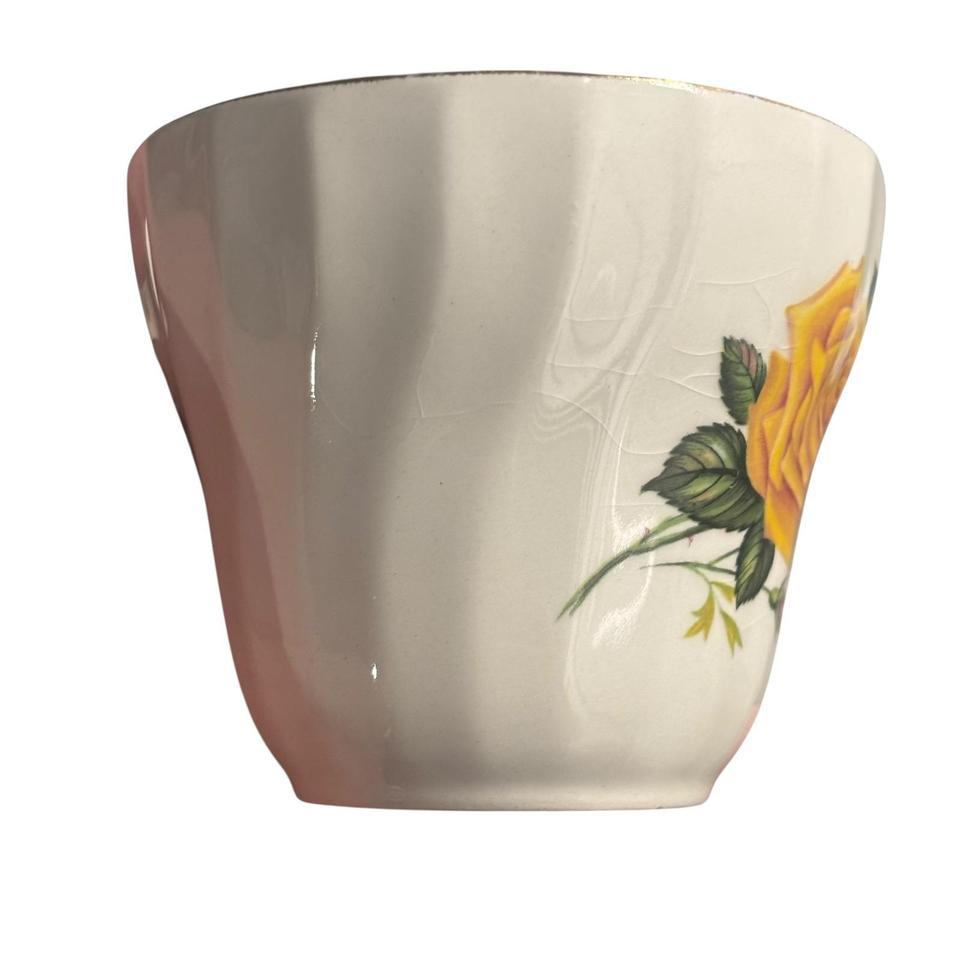 H Aynsley Co Staffordshire Bdd6 7