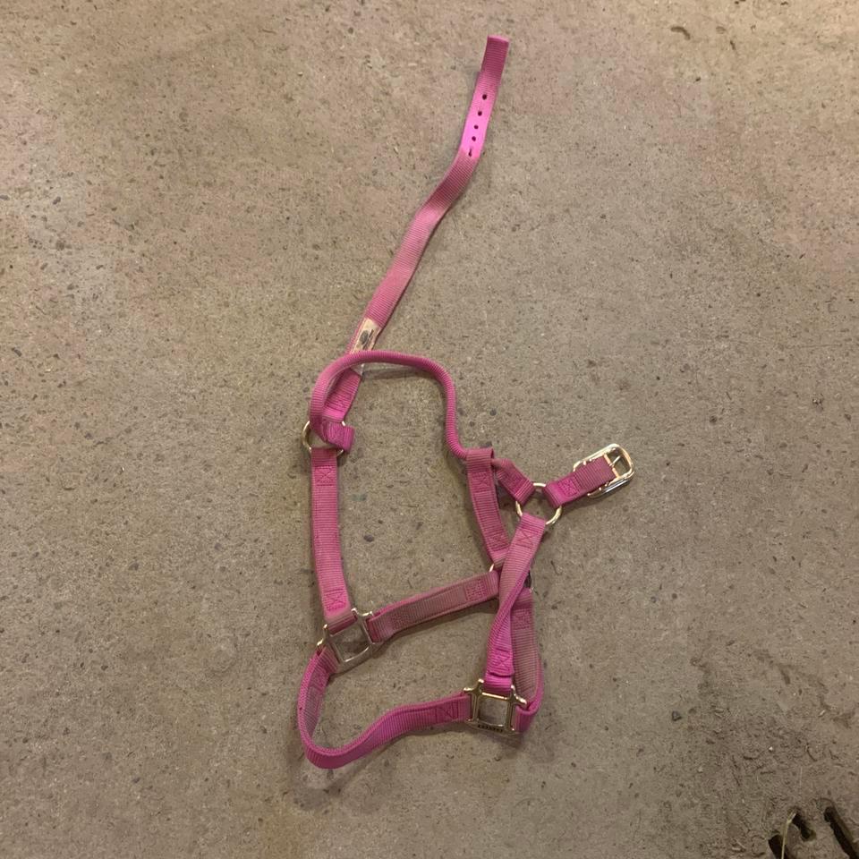 Pretty Pink Halter Regular Size 0f87