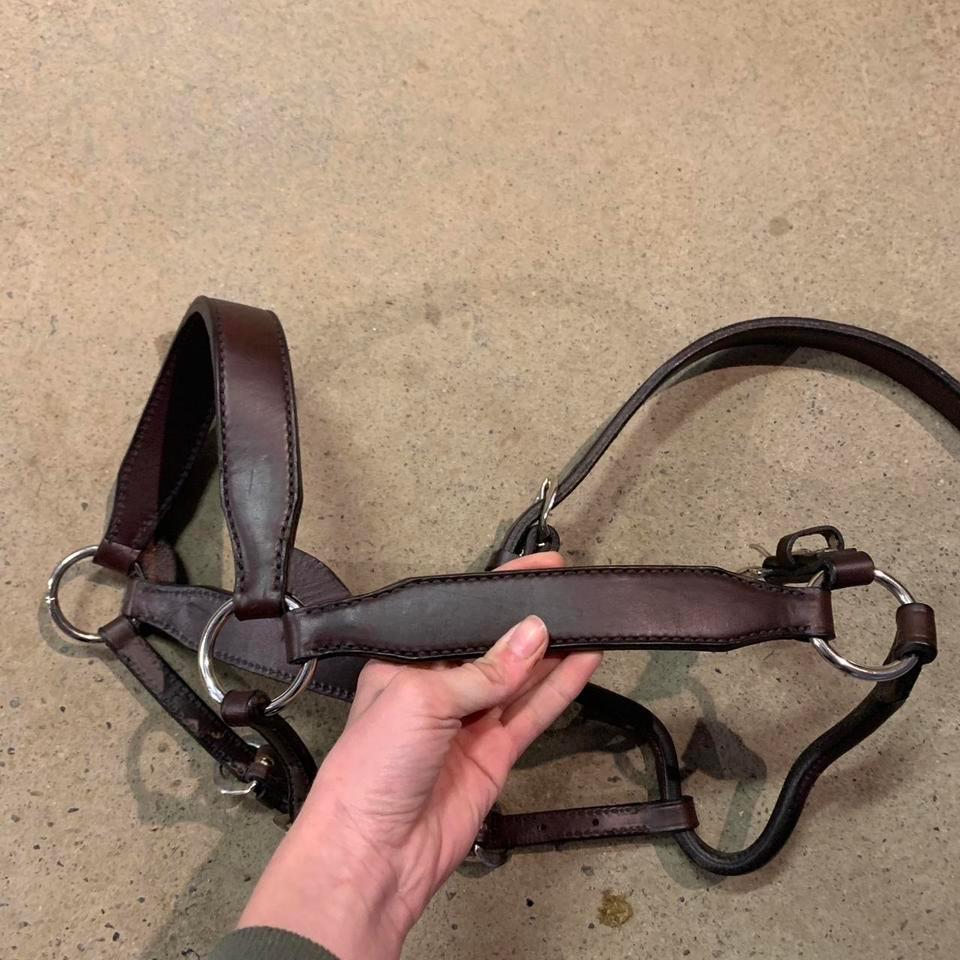 Brand New Leather Halter It Cb4f