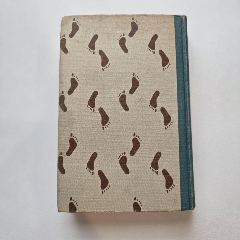 Robinson Crusoe Illustrated Junior Library 1671 3