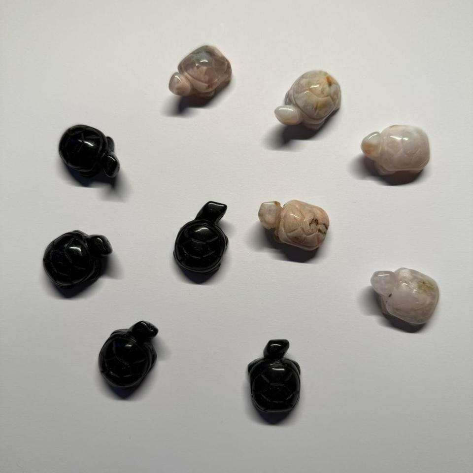 Turtle Tortoise Carving Bundle A22c