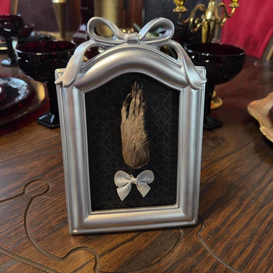 Silver Bow Paw Oddity Artwork E09d 4