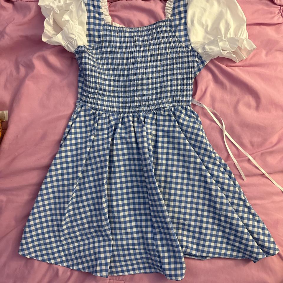 Blue And White Plaid Dress 214b 2