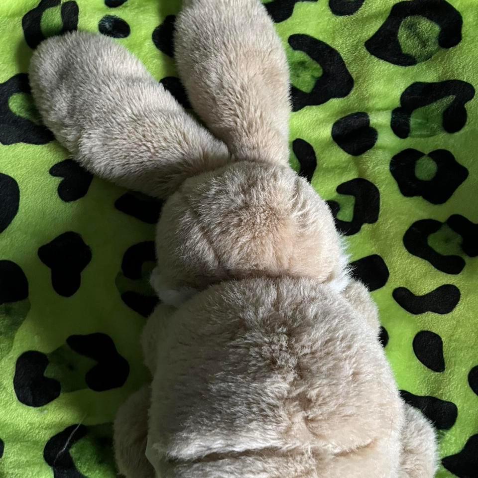 Cream And Tan Stuffed Bunny 5be8 3