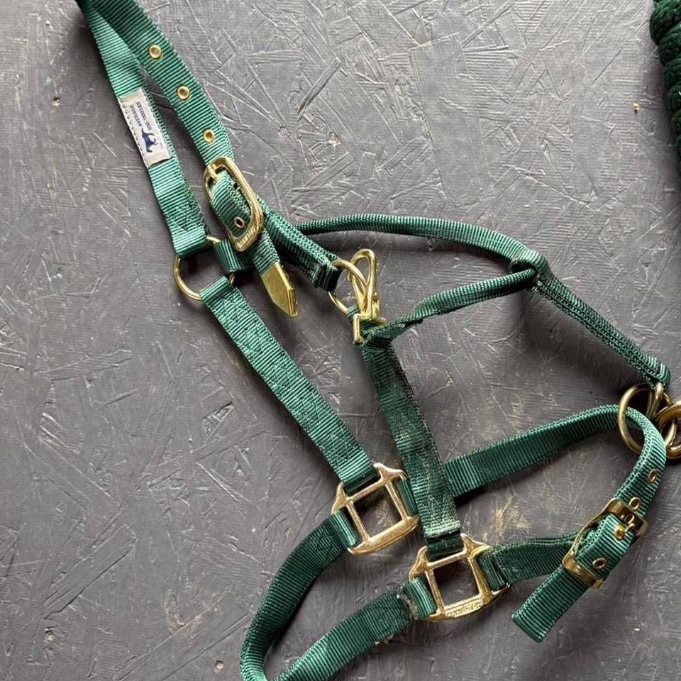 Hamilton Average Size Hunter Green 3045