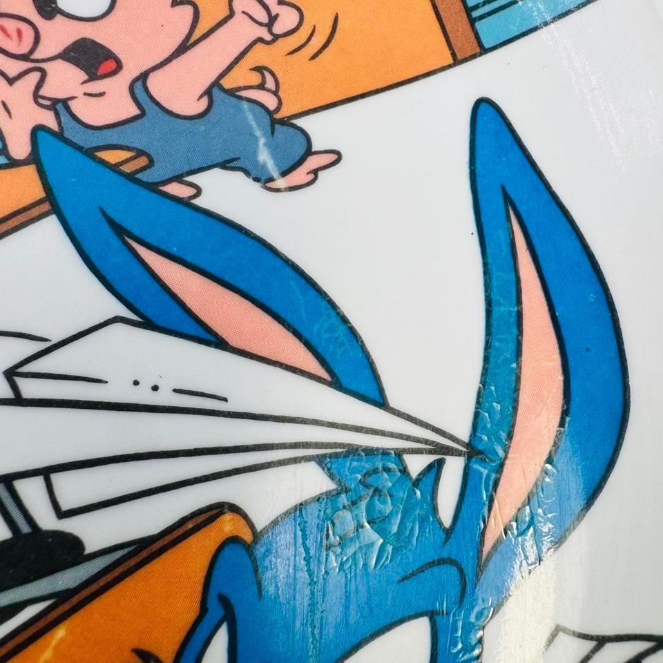 Vtg Tiny Toons Melamine Plate 3