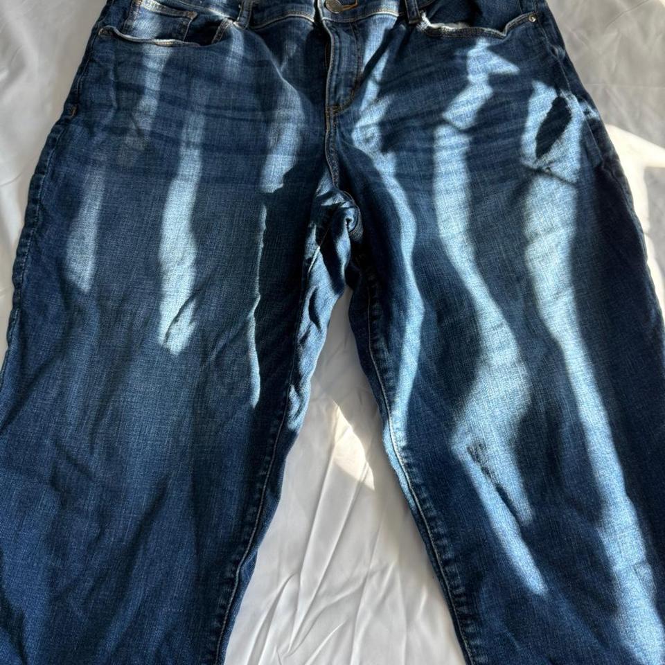 Lane Bryant Blue Denim Capri 7536