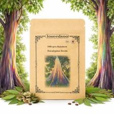 Rainbow Eucalyptus Seeds for Planting – 100+ Eucalyptus deglupta Tree Seeds, Col