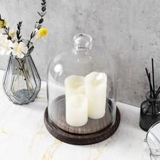 Clear Round Glass Cloche Dome Display Centerpiece Decorative Case w/ Top Handle