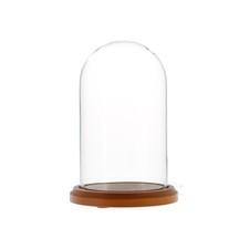 Glass Display Dome Cloche 4" x 7" with Walnut Base