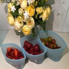 stasher silicone reusable storage bags