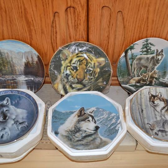 Porcelain Collector plates